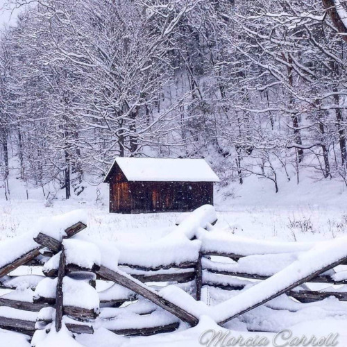 Photo Credit: Marcia Carroll Highland County, Virginia, Christmas, photo, photography, feature, landscape, wildlife, still life, covered bridge, small town, rural, community, holiday, holidays, winter wonderland, christmas lights near me, christmas getaway, christmas around the world, christmas holidays, christmas activities near me, 12 days, Christmas Eve, christmas decorations, best small towns to live, best small towns to retire, most affordable small towns, rural american towns, country living