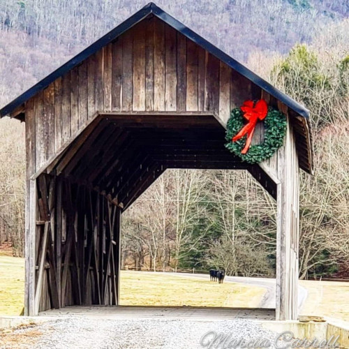 Photo Credit: Marcia Carroll Highland County, Virginia, Christmas, photo, photography, feature, landscape, wildlife, still life, covered bridge, small town, rural, community, holiday, holidays, winter wonderland, christmas lights near me, christmas getaway, christmas around the world, christmas holidays, christmas activities near me, 12 days, Christmas Eve, christmas decorations, best small towns to live, best small towns to retire, most affordable small towns, rural american towns, country living