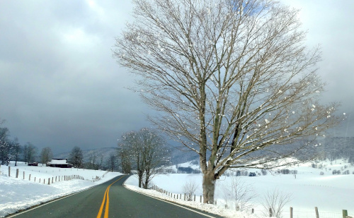Photo Credit: Dorothy Stephenson Highland County, Virginia, Christmas, photo, photography, feature, landscape, wildlife, still life, covered bridge, small town, rural, community, holiday, holidays, winter wonderland, christmas lights near me, christmas getaway, christmas around the world, christmas holidays, christmas activities near me, 12 days, Christmas Eve, christmas decorations, best small towns to live, best small towns to retire, most affordable small towns, rural american towns, country living