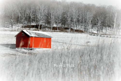 Photo Credit: Doug Puffenbarger Highland County, Virginia, Christmas, photo, photography, feature, landscape, wildlife, still life, covered bridge, small town, rural, community, holiday, holidays, winter wonderland, christmas lights near me, christmas getaway, christmas around the world, christmas holidays, christmas activities near me, 12 days, Christmas Eve, christmas decorations, best small towns to live, best small towns to retire, most affordable small towns, rural american towns, country living