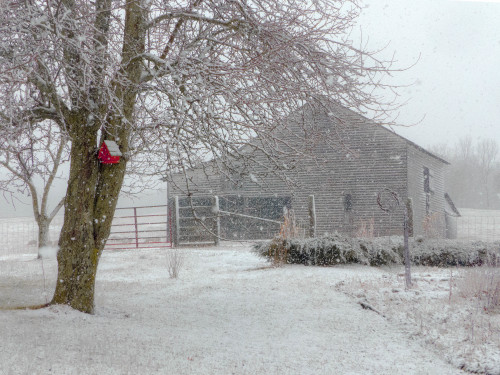 Photo Credit: Michael Bedwell Highland County, Virginia, Christmas, photo, photography, feature, landscape, wildlife, still life, covered bridge, small town, rural, community, holiday, holidays, winter wonderland, christmas lights near me, christmas getaway, christmas around the world, christmas holidays, christmas activities near me, 12 days, Christmas Eve, christmas decorations, best small towns to live, best small towns to retire, most affordable small towns, rural american towns, country living