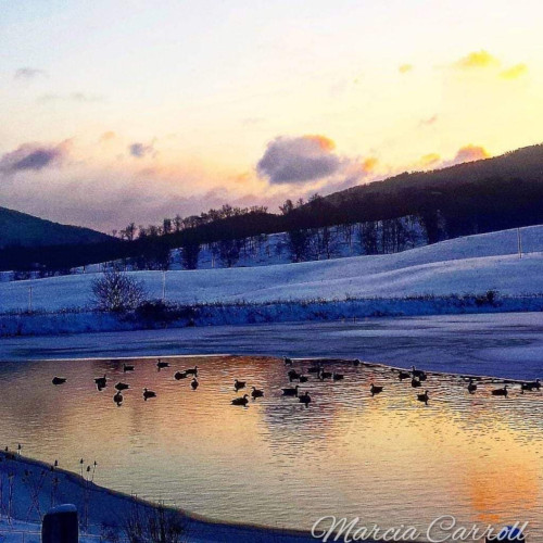 Photo Credit: Marcia Carroll Highland County, Virginia, Christmas, photo, photography, feature, landscape, wildlife, still life, covered bridge, small town, rural, community, holiday, holidays, winter wonderland, christmas lights near me, christmas getaway, christmas around the world, christmas holidays, christmas activities near me, 12 days, Christmas Eve, christmas decorations, best small towns to live, best small towns to retire, most affordable small towns, rural american towns, country living