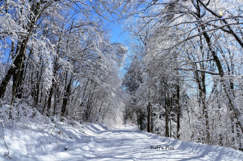 Photo Credit: Doug Puffenbarger Highland County, Virginia, Christmas, photo, photography, feature, landscape, wildlife, still life, covered bridge, small town, rural, community, holiday, holidays, winter wonderland, christmas lights near me, christmas getaway, christmas around the world, christmas holidays, christmas activities near me, 12 days, Christmas Eve, christmas decorations, best small towns to live, best small towns to retire, most affordable small towns, rural american towns, country living