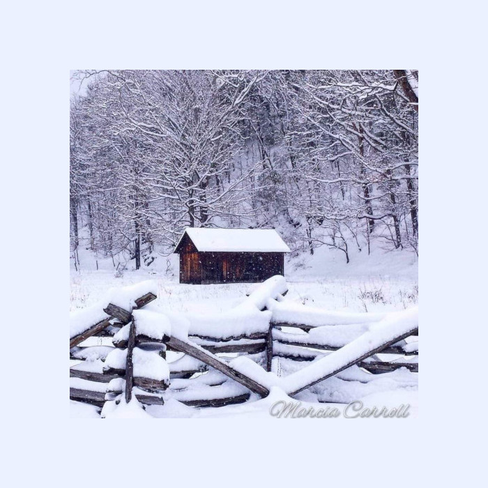 Photo Credit: Marcia Carroll Highland County, Virginia, Christmas, photo, photography, feature, landscape, wildlife, still life, covered bridge, small town, rural, community, holiday, holidays, winter wonderland, christmas lights near me, christmas getaway, christmas around the world, christmas holidays, christmas activities near me, 12 days, Christmas Eve, christmas decorations, best small towns to live, best small towns to retire, most affordable small towns, rural american towns, country living