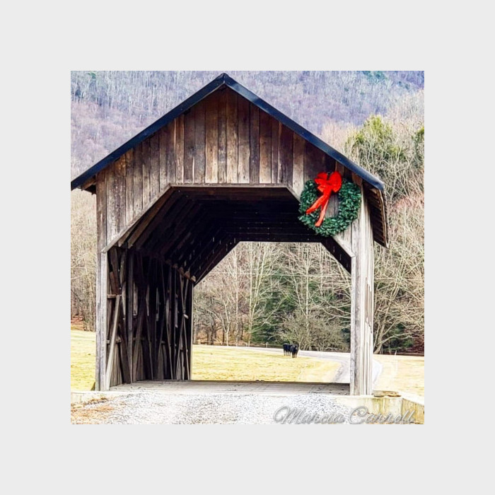 Photo Credit: Marcia Carroll Highland County, Virginia, Christmas, photo, photography, feature, landscape, wildlife, still life, covered bridge, small town, rural, community, holiday, holidays, winter wonderland, christmas lights near me, christmas getaway, christmas around the world, christmas holidays, christmas activities near me, 12 days, Christmas Eve, christmas decorations, best small towns to live, best small towns to retire, most affordable small towns, rural american towns, country living