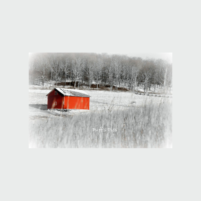 Photo Credit: Doug Puffenbarger Highland County, Virginia, Christmas, photo, photography, feature, landscape, wildlife, still life, covered bridge, small town, rural, community, holiday, holidays, winter wonderland, christmas lights near me, christmas getaway, christmas around the world, christmas holidays, christmas activities near me, 12 days, Christmas Eve, christmas decorations, best small towns to live, best small towns to retire, most affordable small towns, rural american towns, country living