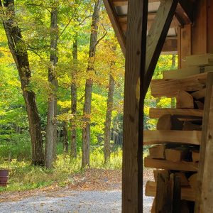Fall front porch view by Alice Metts.