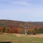 Allegheny Mountain by Mindy Armstrong
