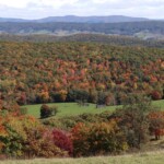 Allegheny Mountain by Mindy Armstrong