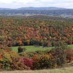 Allegheny Mountain by Mindy Armstrong