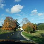 Meadowdale by Marcia Carroll