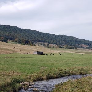 Pastoral Fall view by Marcia Carroll.