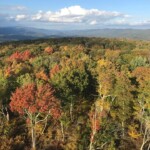 From Sounding Knob by Karen Milnes