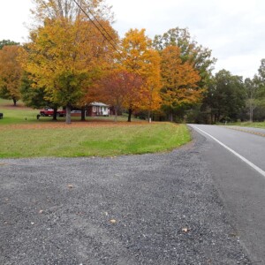 Marshall Hill by Shelby Grant