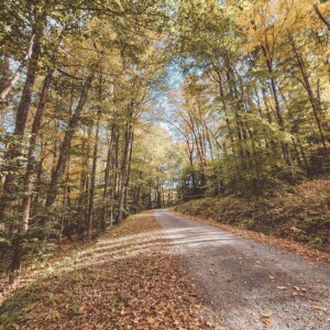 Middle Mountain by Cassandra Warner.