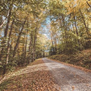 Middle Mountain by Cassandra Warner.