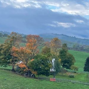 Mill Gap by "Pusheen Vida"