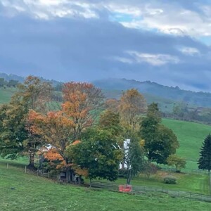 Mill Gap by "Pusheen Vida"