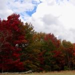 West Side of Allegheny Mountain by Pen Goodall