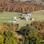 Photo by Alice Metts