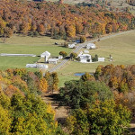 Photo by Alice Metts