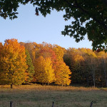 Photo by Alice Metts