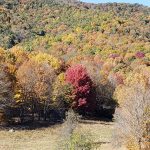 Photo by Alice Metts