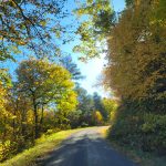 Photo by Cassandra Warner