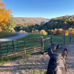 Photo by Marissa Hancock