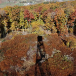 Photo by Mindy Armstrong