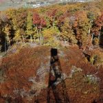 Photo by Mindy Armstrong