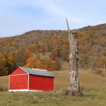 Photo by Mindy Armstrong