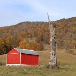 Photo by Mindy Armstrong