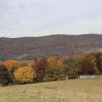 Photo by Mindy Armstrong