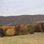 Photo by Mindy Armstrong