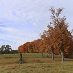 Photo by Mindy Armstrong