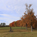 Photo by Mindy Armstrong